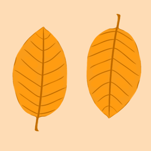 Fall tree brown