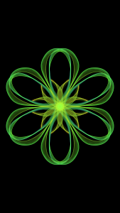 Pattern color flower
