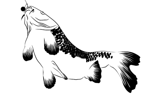 Boilie fisherman fishing