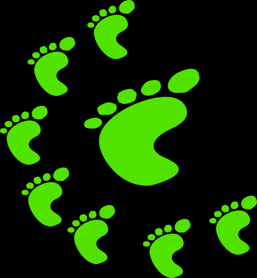 People human footprint
