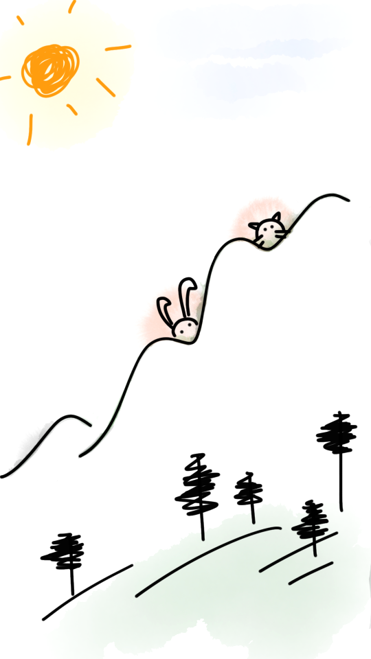 Cat animals bunny