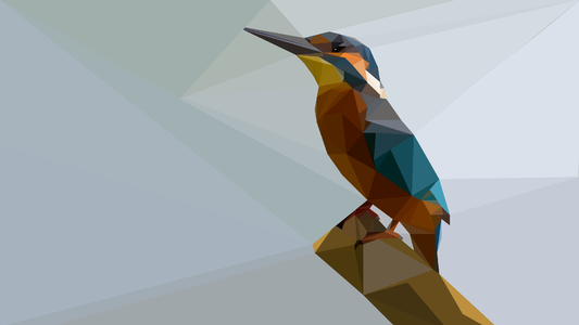 Drawing bird nature