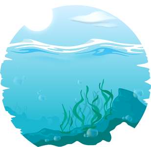 Alga marin background
