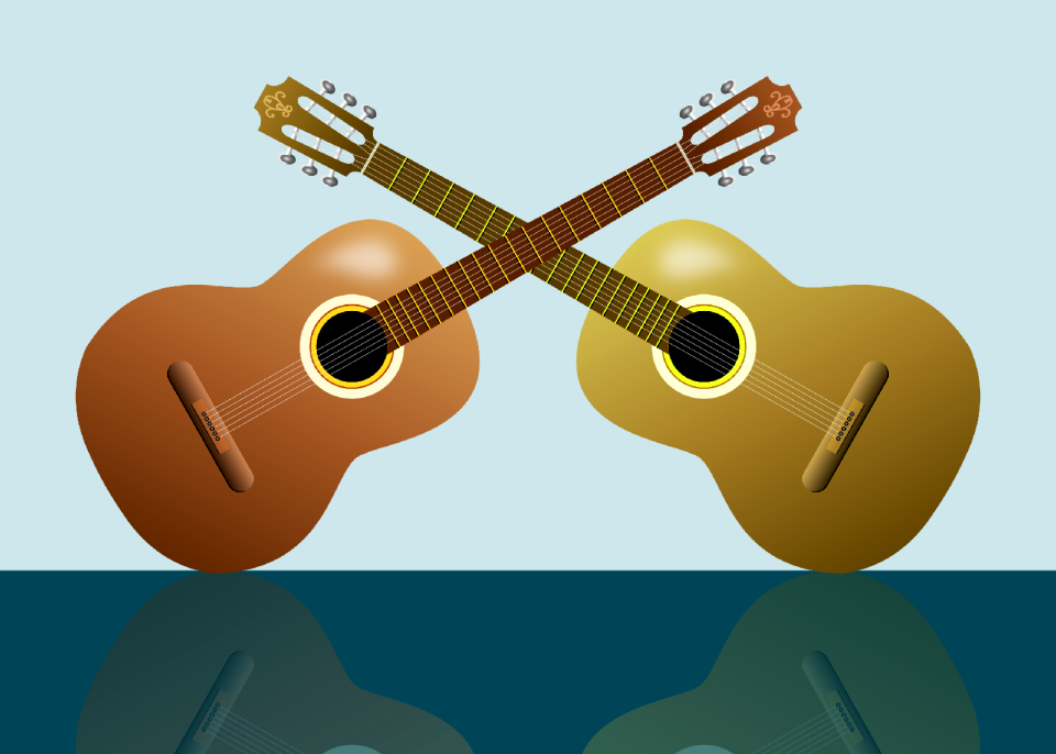 Instrument musical instrument play