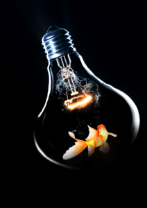Lamp hotspot small fish