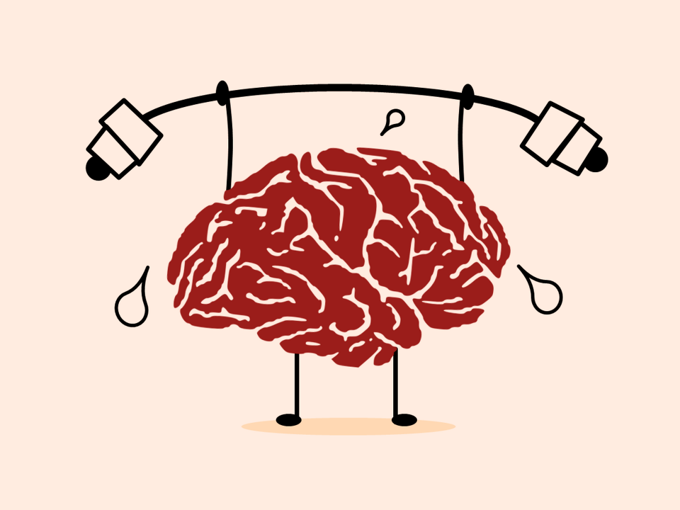 Intelligence training intellect