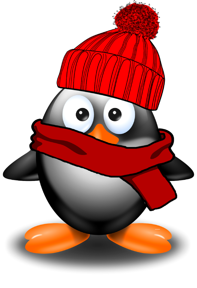 Bird funny snow