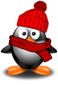 Bird funny snow