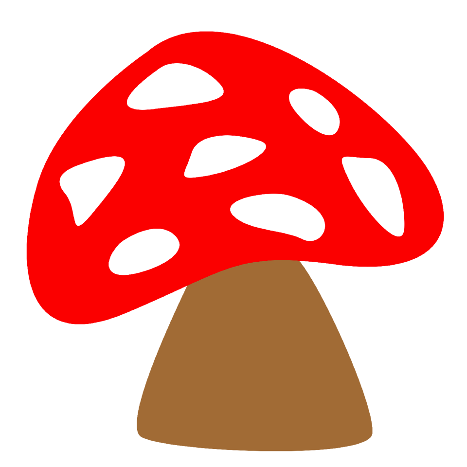Forest porcini mushrooms king bolete