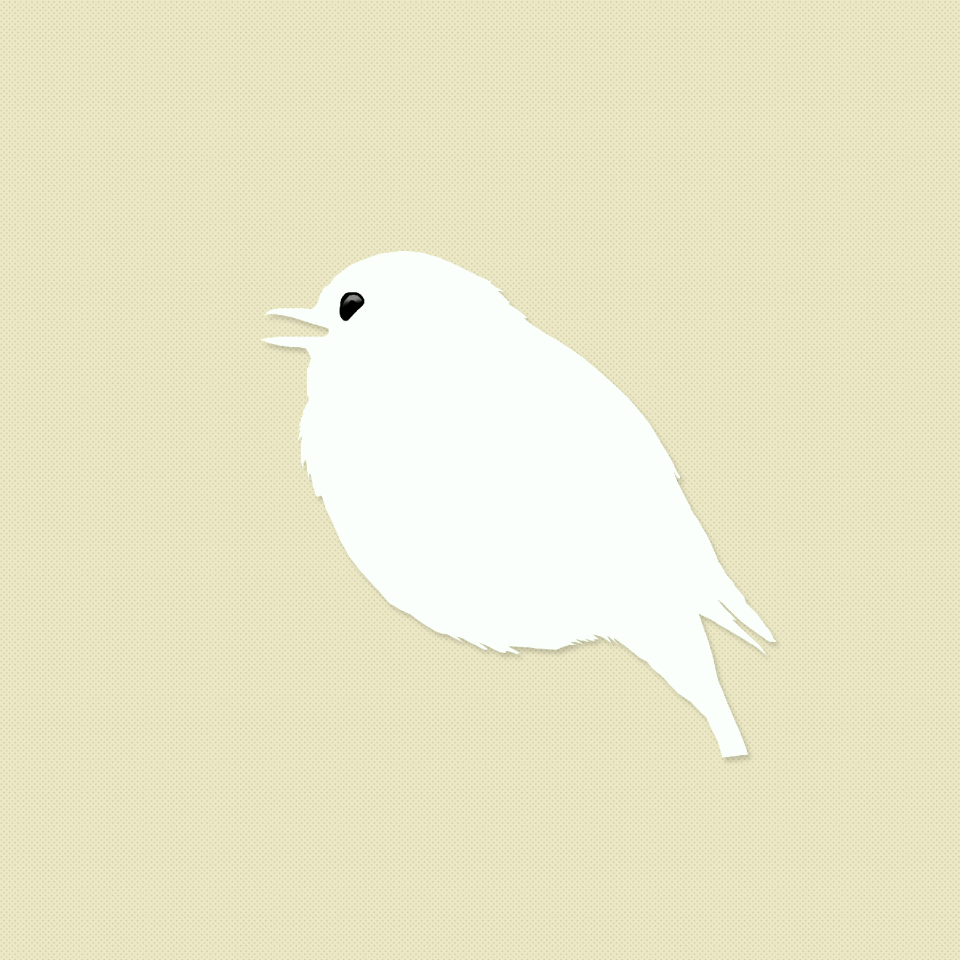 Animal white feather