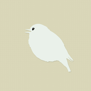 Animal white feather