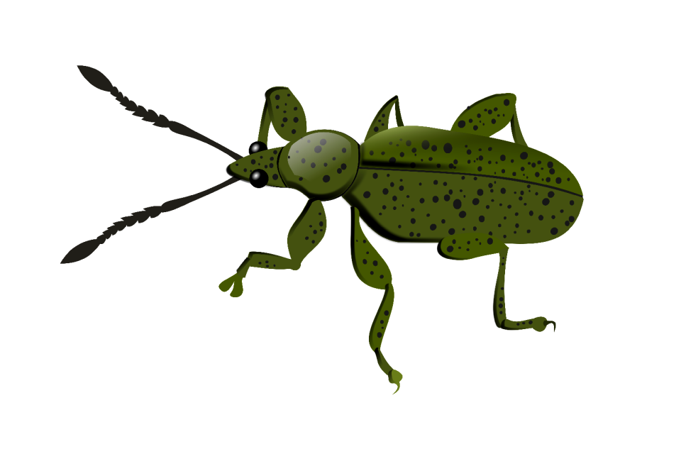 Nature fauna plague