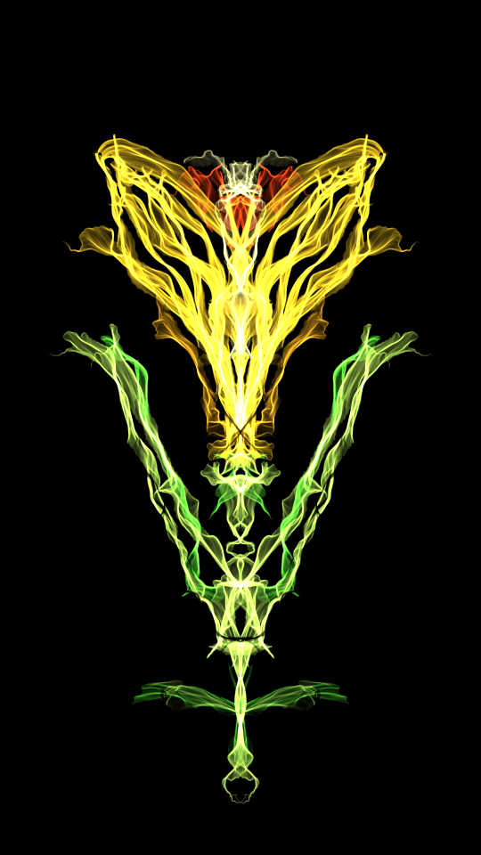 Ecology disjunct flower