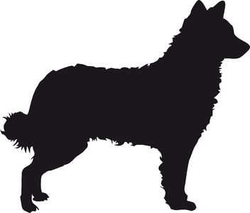 Dog native breed dog silhouette