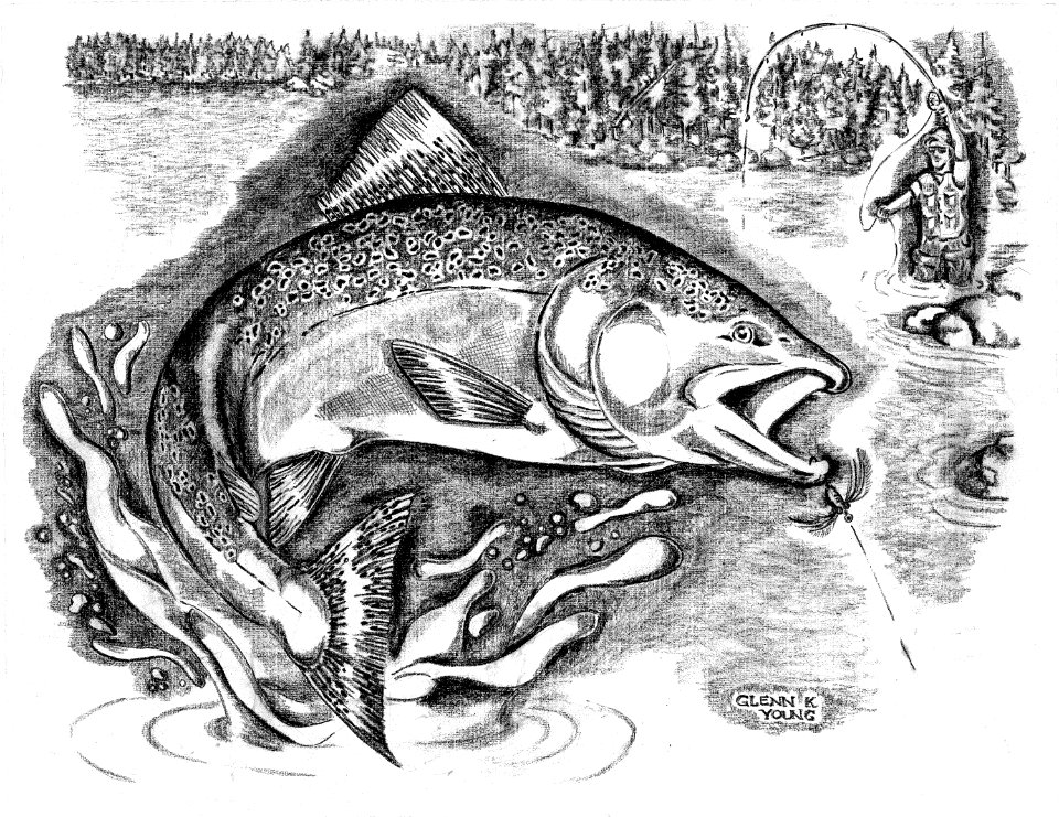 Chinook Salmon Flight