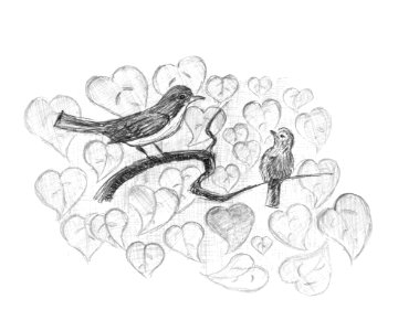 Redstart with nestling. Birds on a branch. Pencil sketch.