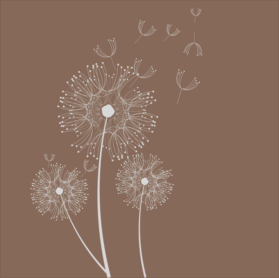 Dandelion Flowers Card