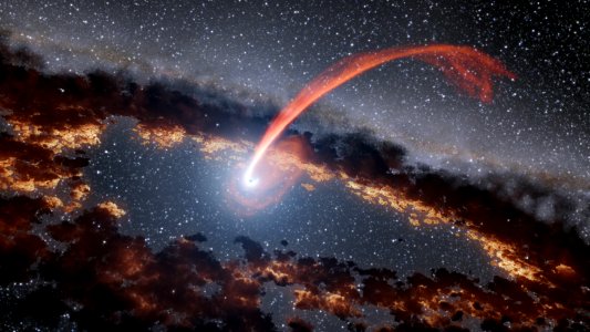Infrared Echoes of a Black Hole