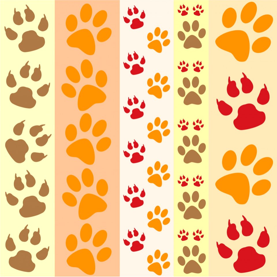 Paw Prints Fun Wallpaper