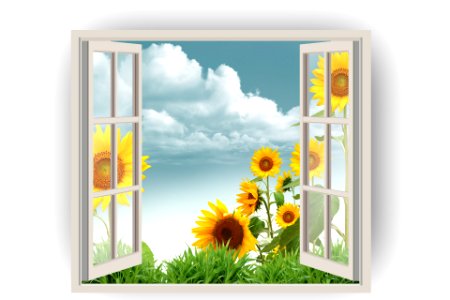 Open window with grass and sunflower