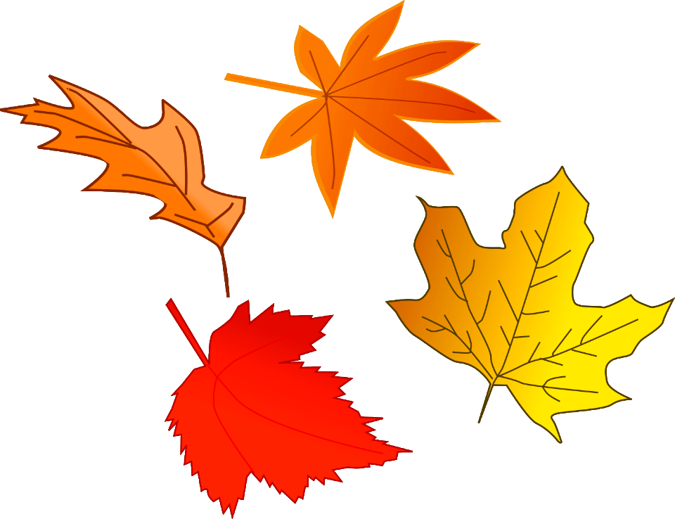 Illustration Of Colorful Autumn Leaves