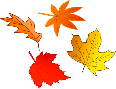 Illustration Of Colorful Autumn Leaves