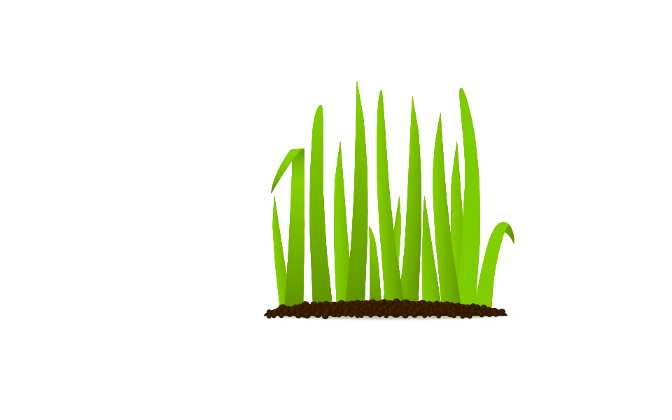 Illustration green grass