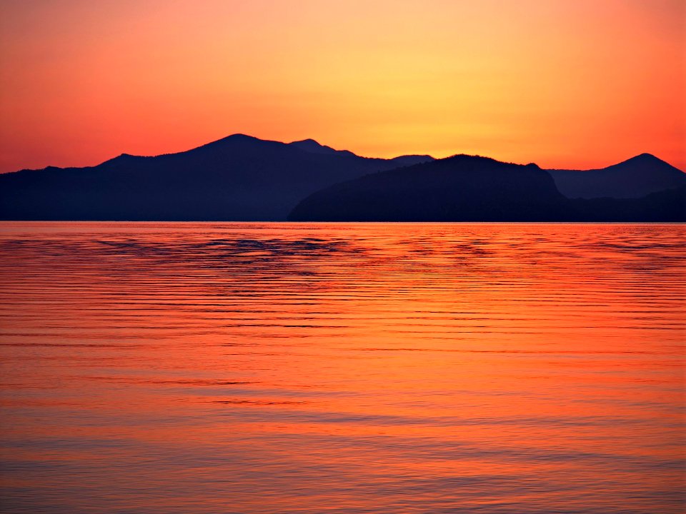 Landscape with sunset at the seashore. Grass silhouette bright