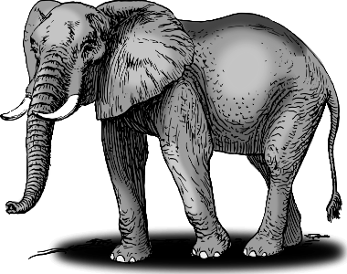 Illustration Of An Elephant