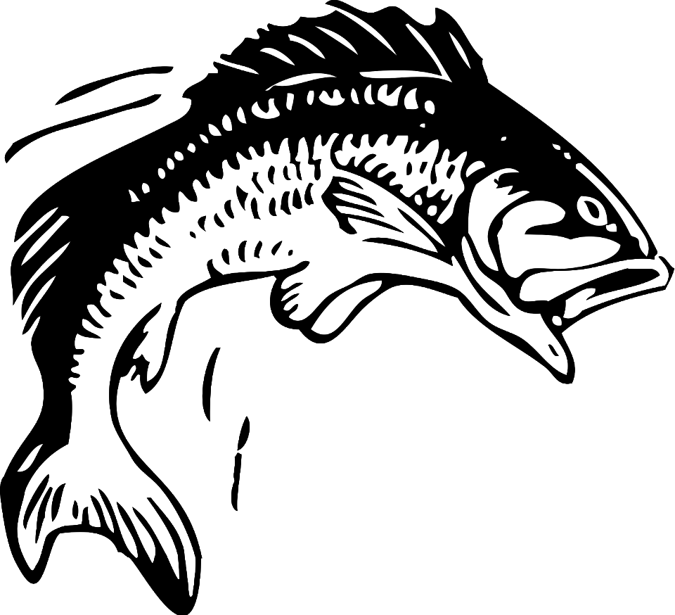 Illustration Of A Jumping Fish