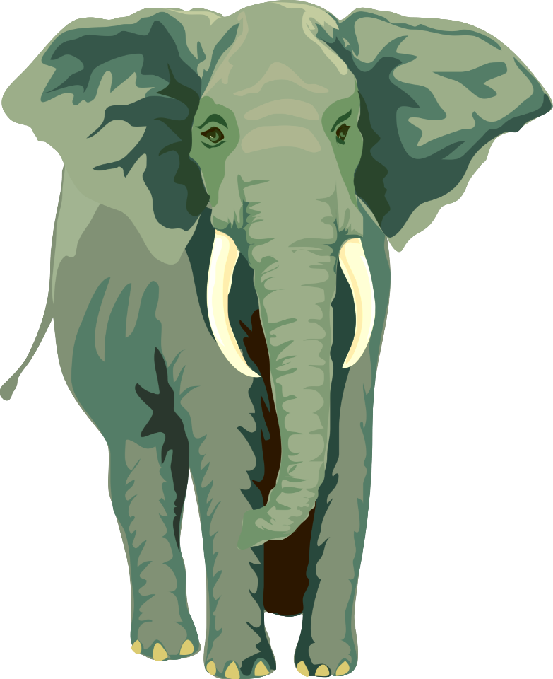 Illustration Of An Elephant