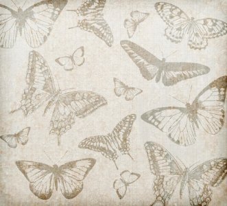Butterfly Background Vintage