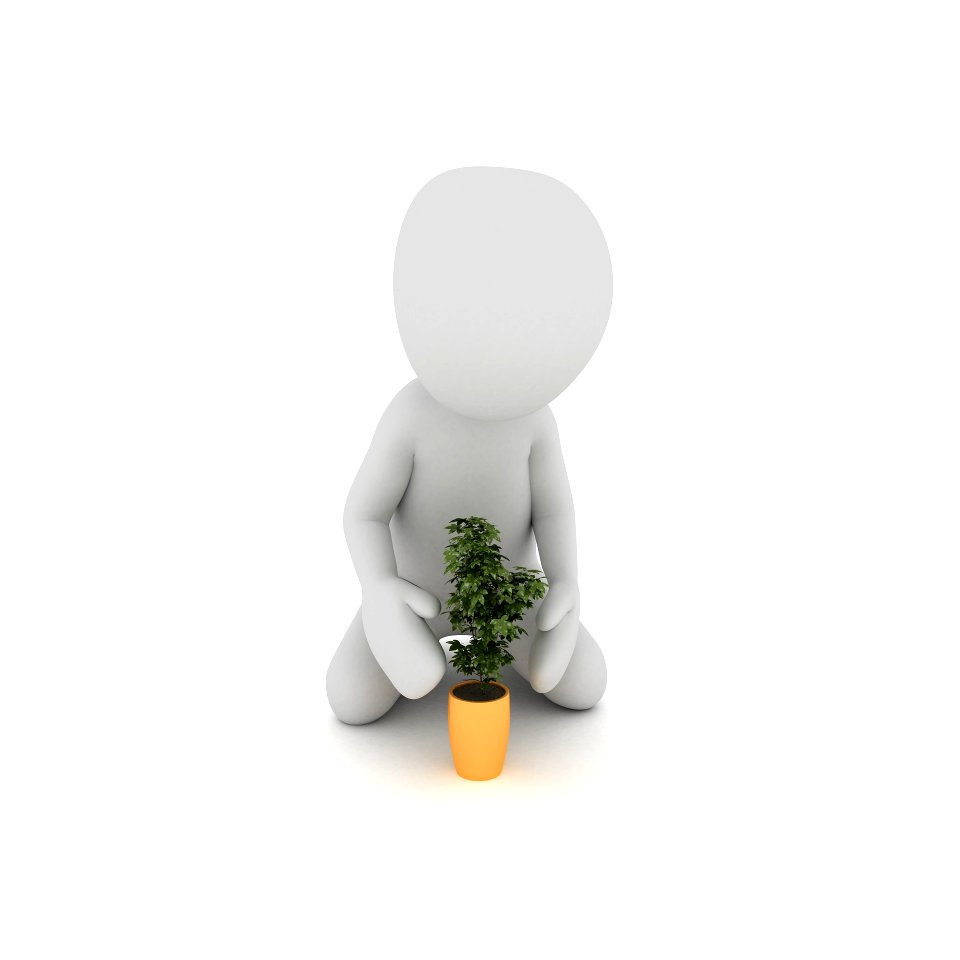 A businessman holding an orange flower