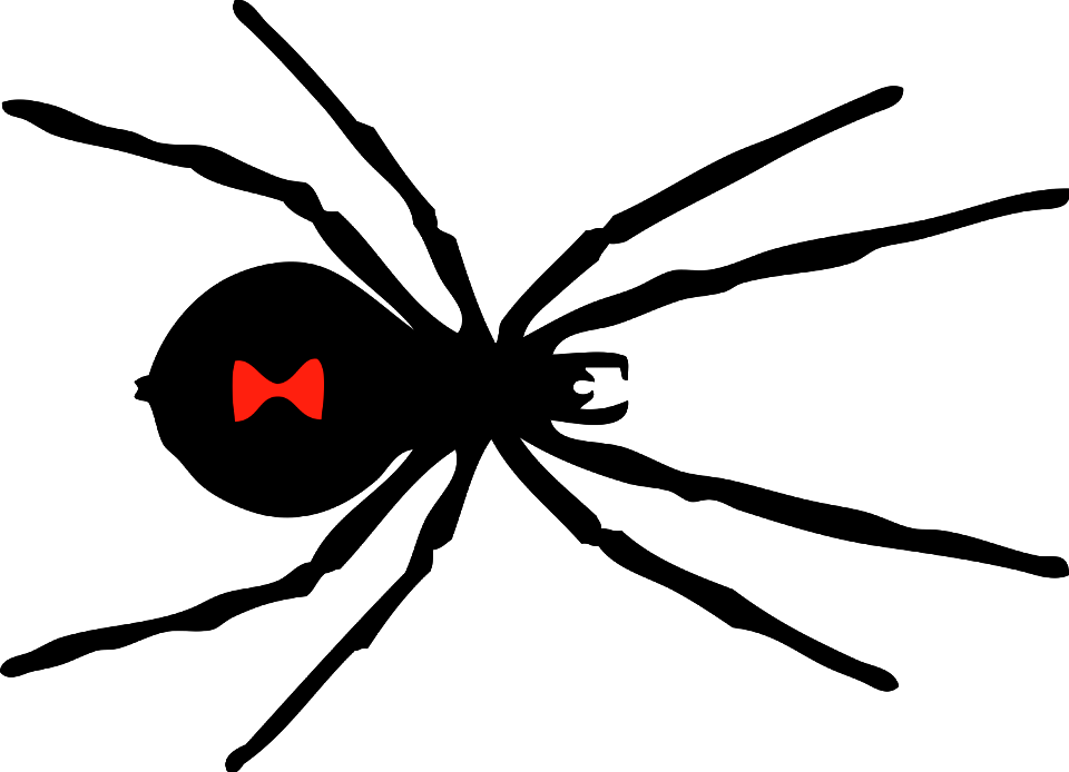 Illustration Of A Black Widow Spider