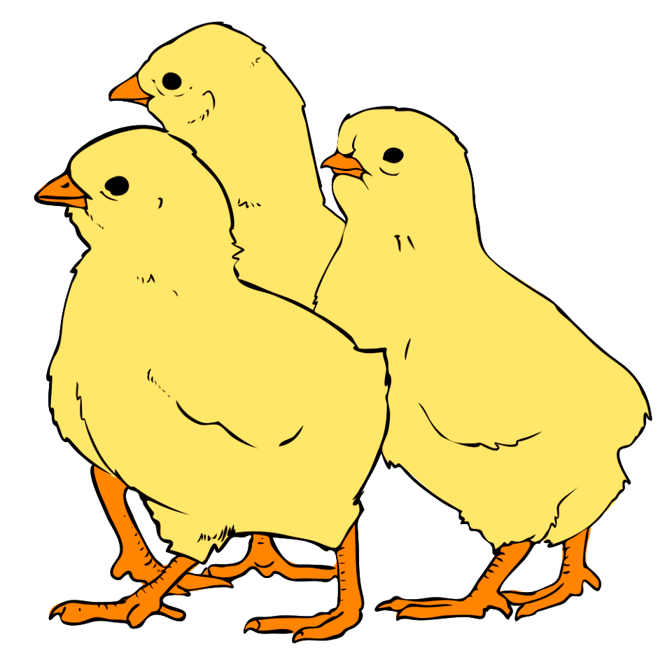 Happy chick cartoon