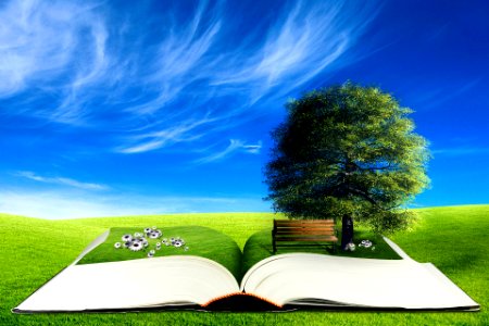 open book with tree and bench on the meadow. 3d concept