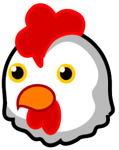 chicken on white background