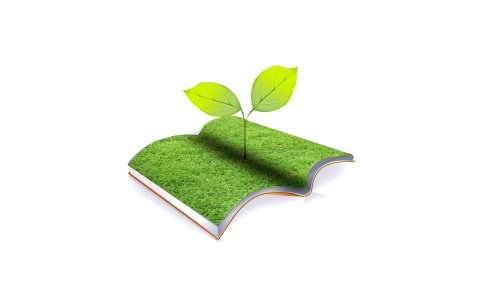 book of nature with grass and tree over white background