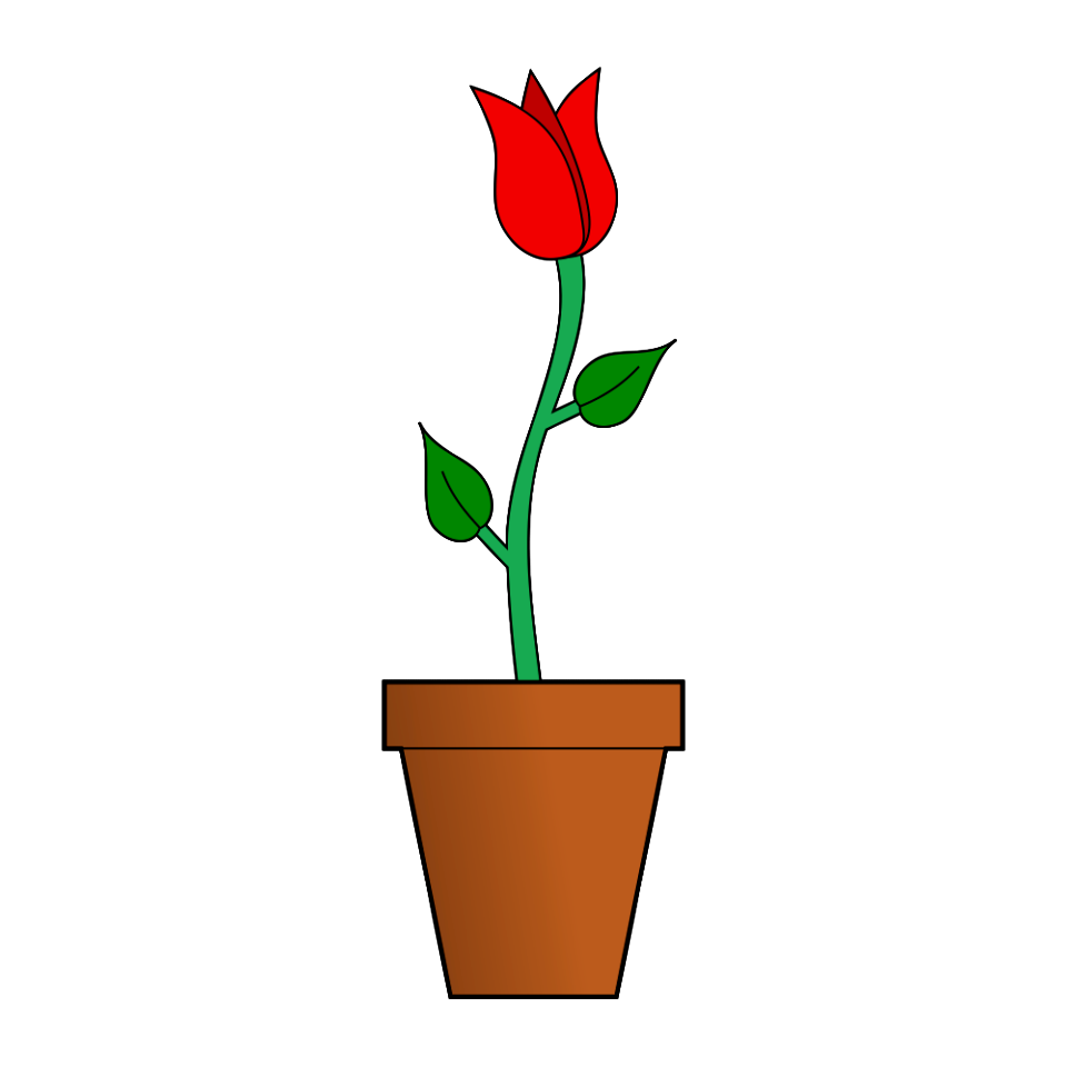 Flower in pot