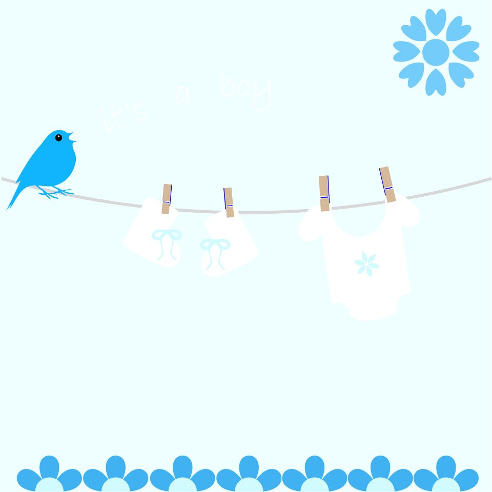 Baby Boy Card Announcement