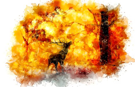 Yellow, Watercolor Paint, Art, Computer Wallpaper