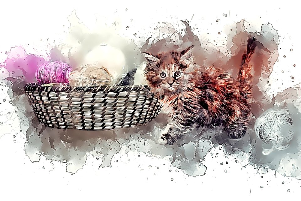 Cat, Small To Medium Sized Cats, Cat Like Mammal, Kitten