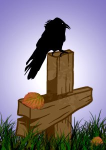 Bird Fauna Beak Grass