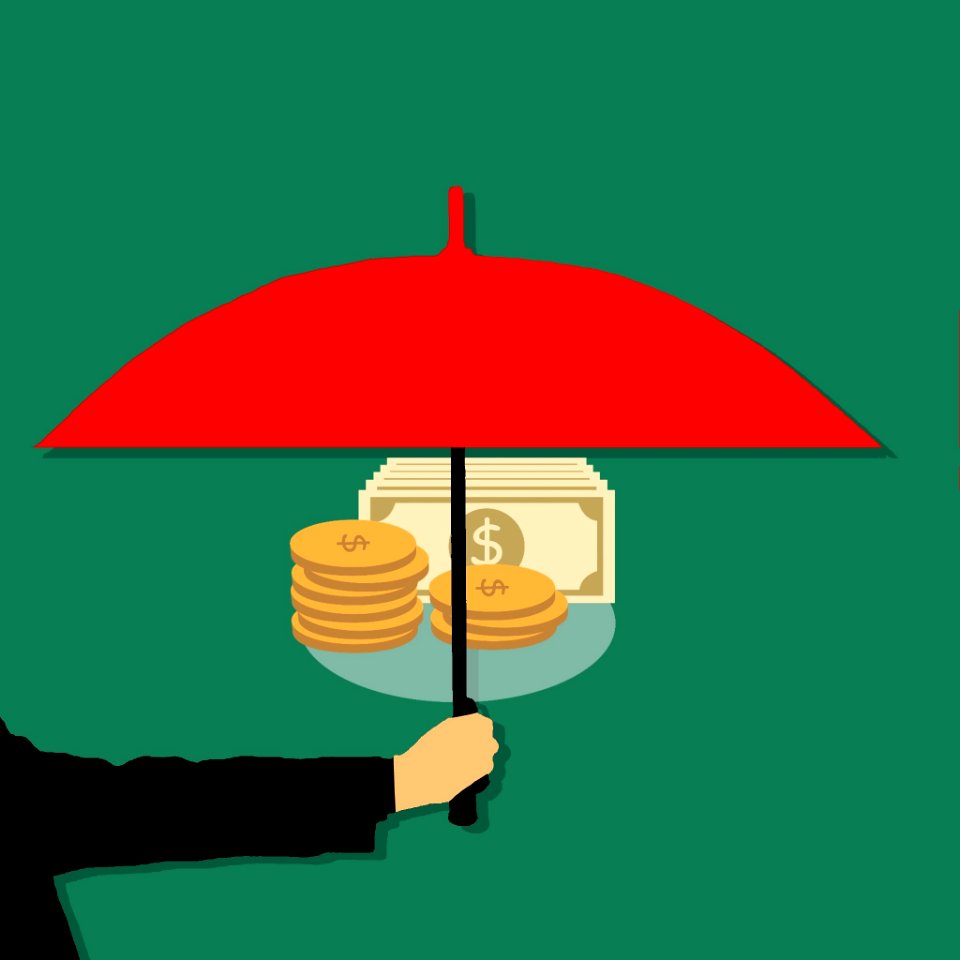 Revenue Protection