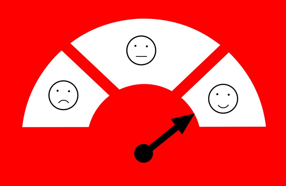 Survey Feedback Illustration