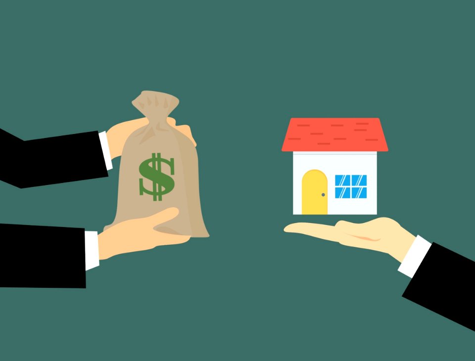 Real Estate Illustration