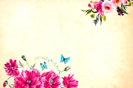 Vintage Flower and Butterflies Background