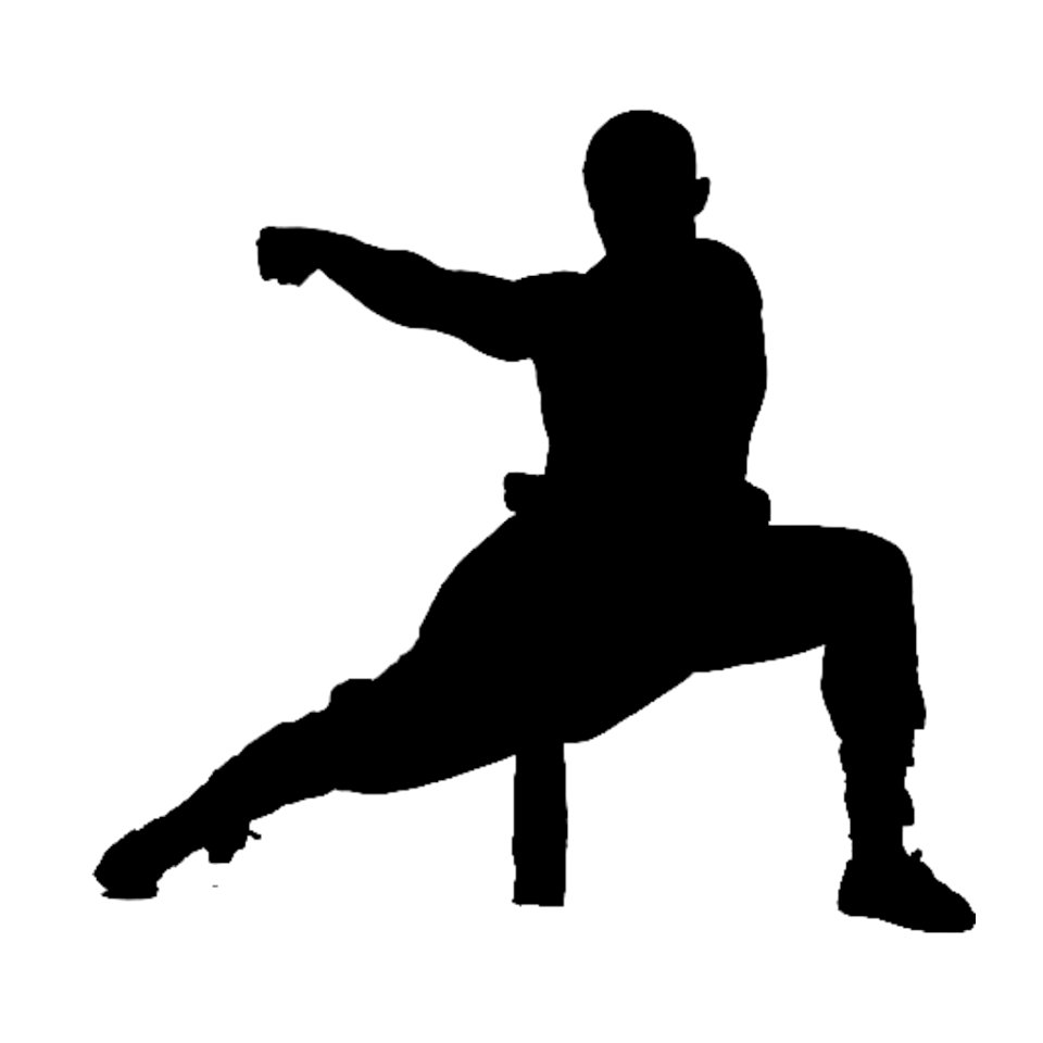 Kung Fu Silhouette