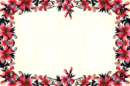 Red Flower Background