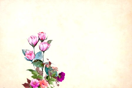 Pink Vintage Floral Background